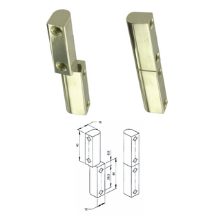 Bullet Hinge Brass with Stainless Pin