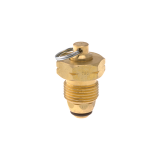 Blanking Plug Brass Type 20