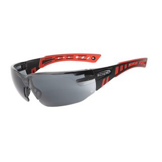 Speed Red/Blk Frame- Smoke Lens Safety