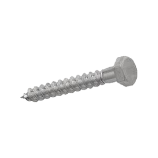 Coach Screw M12x100mm Gal