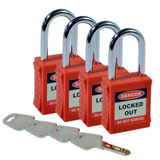 Safety Lockout - Red Key Set #4 Raptor