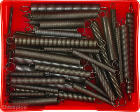 Champion Kit Extension Springs