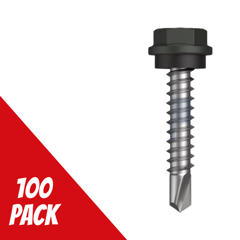 SDM Hex Screw Washer 10gx25mm W/G Pk100