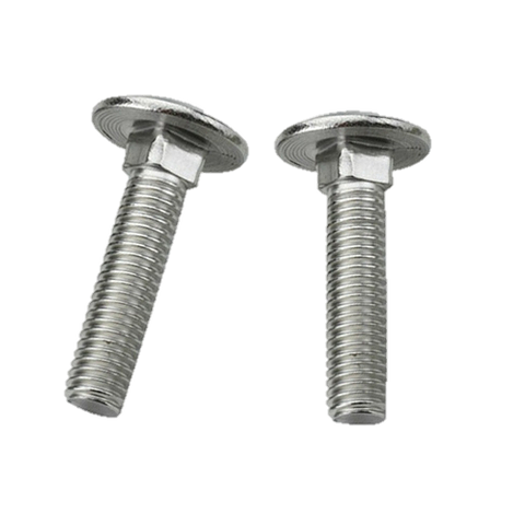 Cup Head Bolt M10 x 25mm S/S 316