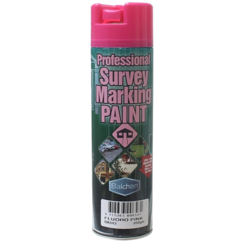 Survey Paint Brilliant Pink 350G