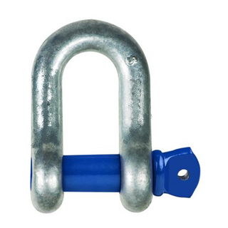 Dee Shackle 1T 10MM Pin Grd S