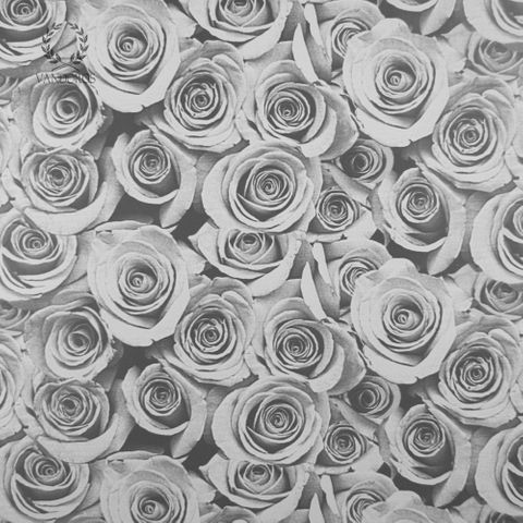 ROSES PAPER SILVER 90gsm
