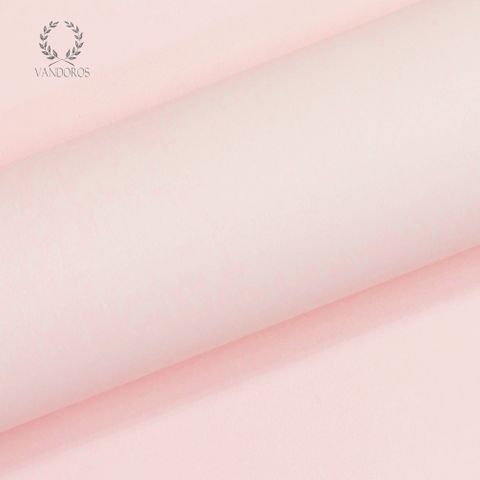 PLAIN CHAMPAGNE UNCOATED 80gsm