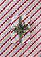 PEPPERMINT PARADE EUCALYPTUS 80gsm 60cmX60M