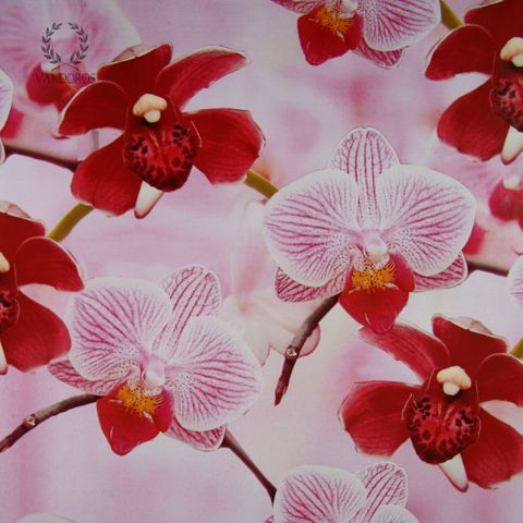PINK ORCHIDS PAPER (GLOSS) 90gsm