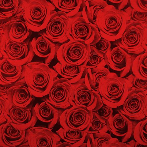 ROSES PAPER RED 90gsm