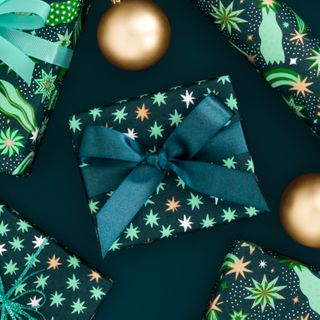 COSMIC EVERGREEN