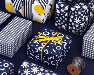 DAISY NAVY