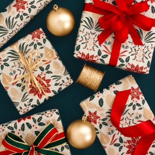 POINSETTIA TRADITIONAL