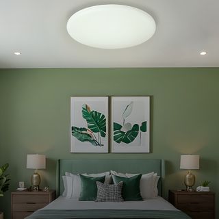 Oyster Lights