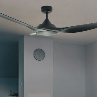 Ceiling Fans