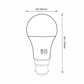 12w A60 3 CCT LED Lamp-B22