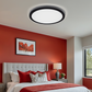 Hector-480 IP65 LED Ceiling Light - Black