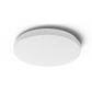 Dover 290mm 18w LED Ceiling Light