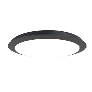 Raven RWS Light Kit - Black