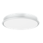 Ranger RWS Light Kit - White