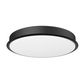 Ranger RWS Light Kit - Black