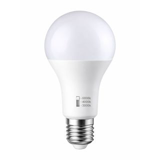 20w A80 3CCT LED Lamp-E27-Dim