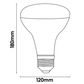275w Heat Globe
