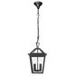 Trinity P2 IP44 Pendant Light - Black - Small