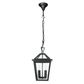 Trinity P2 IP44 Pendant Light - Black - Small