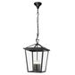 Trinity P3 IP44 Pendant Light - Black - Large