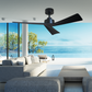 Bronte 52 DC Ceiling Fan - Black