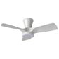 Kiwi 32 Ceiling Fan - with Light - White