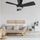 Kiwi 32 Ceiling Fan - with Light - Black