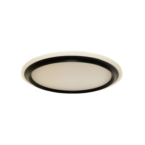 Duke 32w Oyster - Black