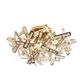 Brazza CTC-Gold