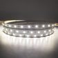 4.8w 3528 LED Strip Light - 12v - IP20 - 1m - 4000K