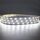 4.8w 3528 LED Strip Light - 12v - IP20 - 1m - 6000K