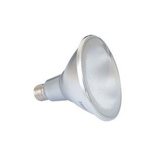 230V PAR38 LED Lamp IP65