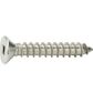 STAINLESS STEEL SCREW SQUARE HEAD #9X1",75 PCS / JAR