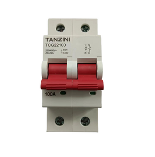 TANZINI TCG Series Main Isolater 2Pole 100A