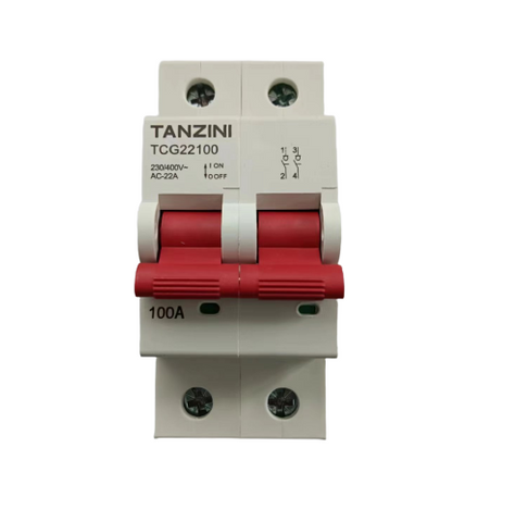 TANZINI TCG Series Main Isolater 2Pole 100A