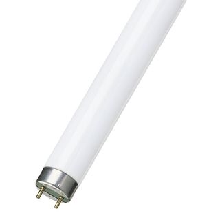 Sylvania FL36W Tube/ 865 T8G13