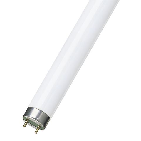 Sylvania FL58W Tube / 840 T8G13