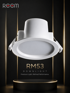 9Watt 3CCT LED Downlight with Teminal Block REEM