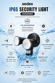 Sedex IP65 Security LED Light 6500K