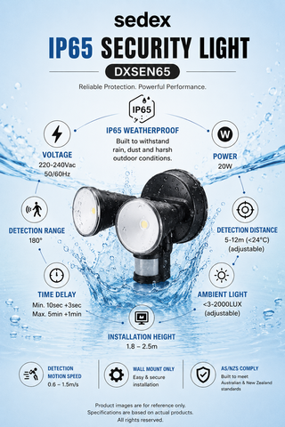 Sedex IP65 Security LED Light 6500K