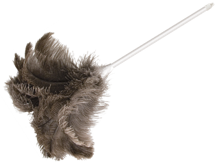 FEATHER DUSTER OATES