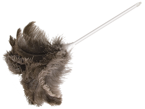 FEATHER DUSTER OATES