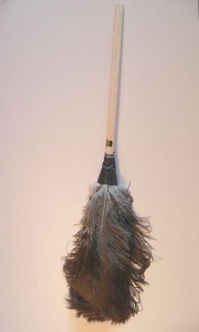 Ostrich Feather Duster — Sunday Shop